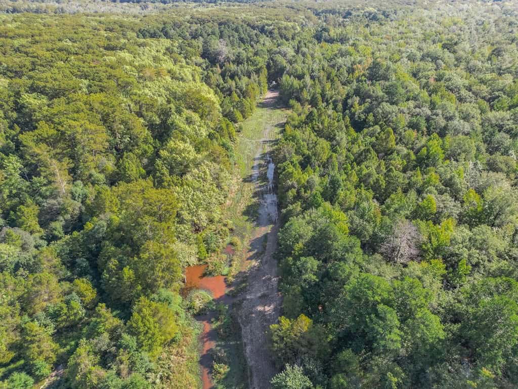Hunting and Timberland for Sale in Ouachita Parish, LA
