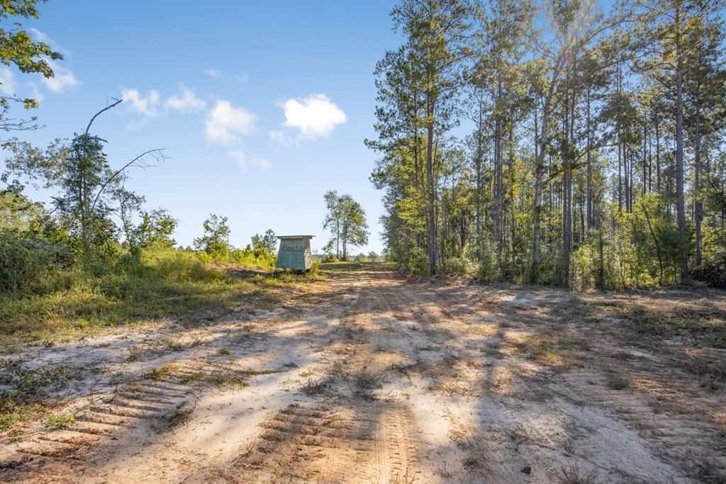 Small Hunting Tract in Amite County, MS