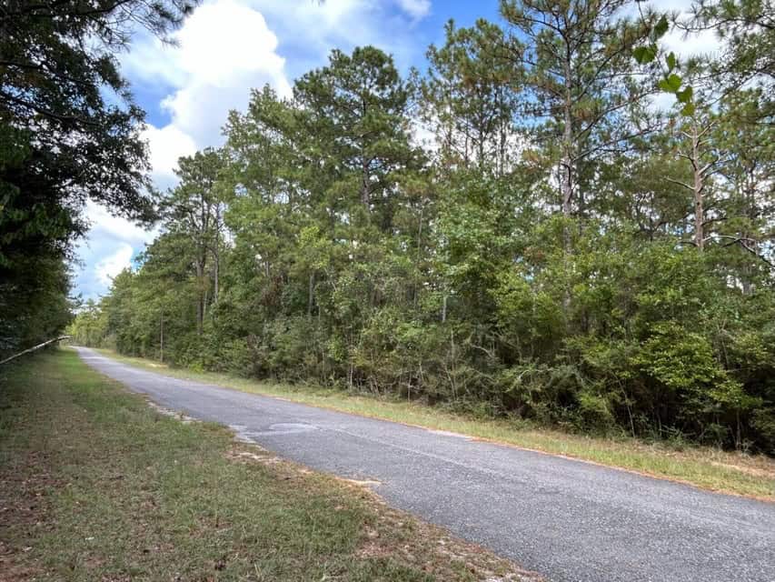 The Ideal 40 Acres