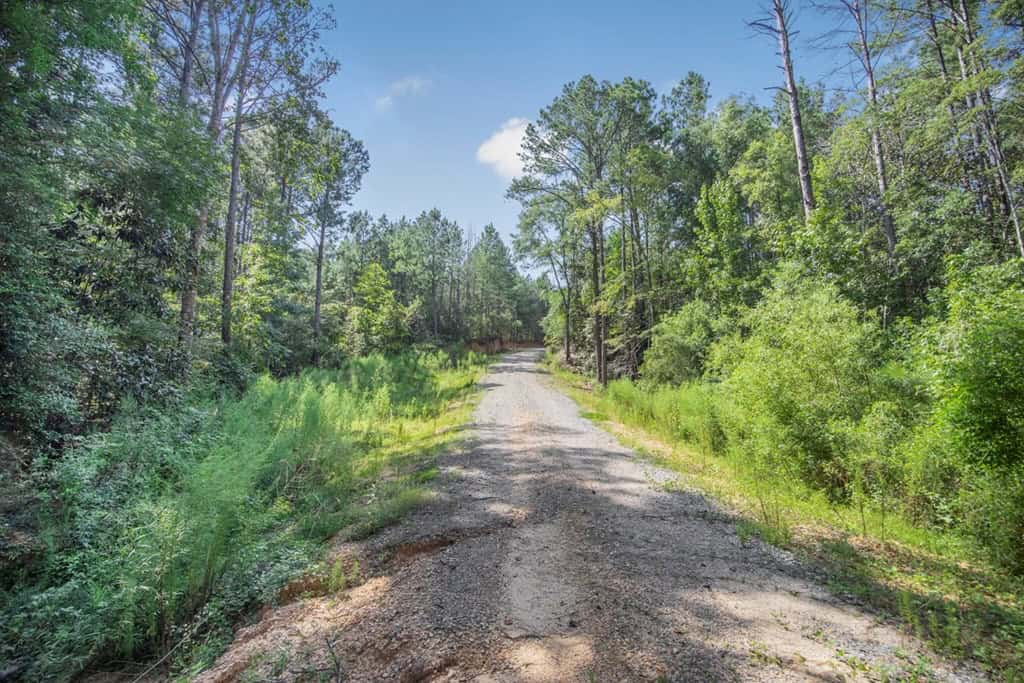 Turnkey Property in Amite County Connected to Caston Creek