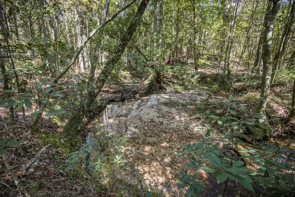 Turnkey Property in Amite County Connected to Caston Creek