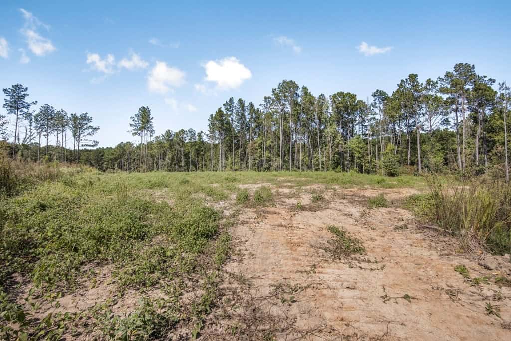 Turnkey Hunting Property Connected to Caston Creek WMA