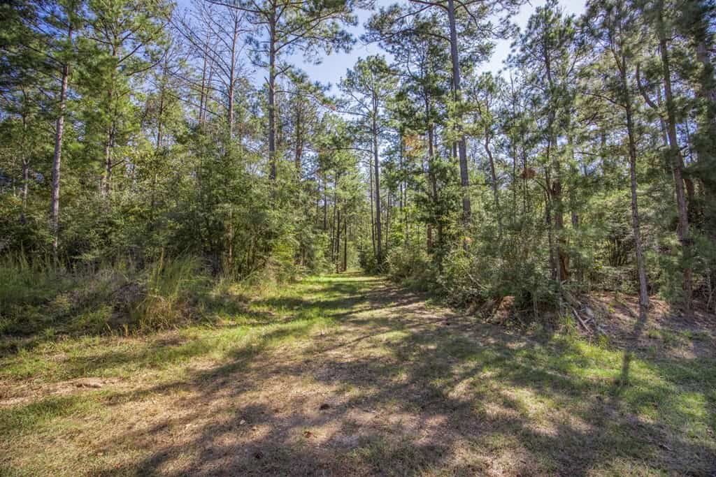 Affordable Hunting Property Adjoining National Forest