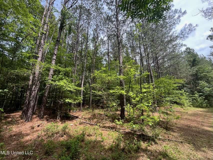 28 Acres in Hinds County