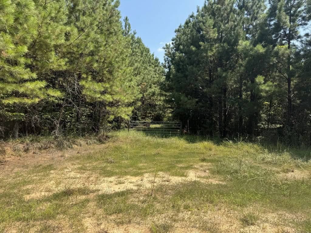 45 Acre Timberland Hunting Lincoln County South MS