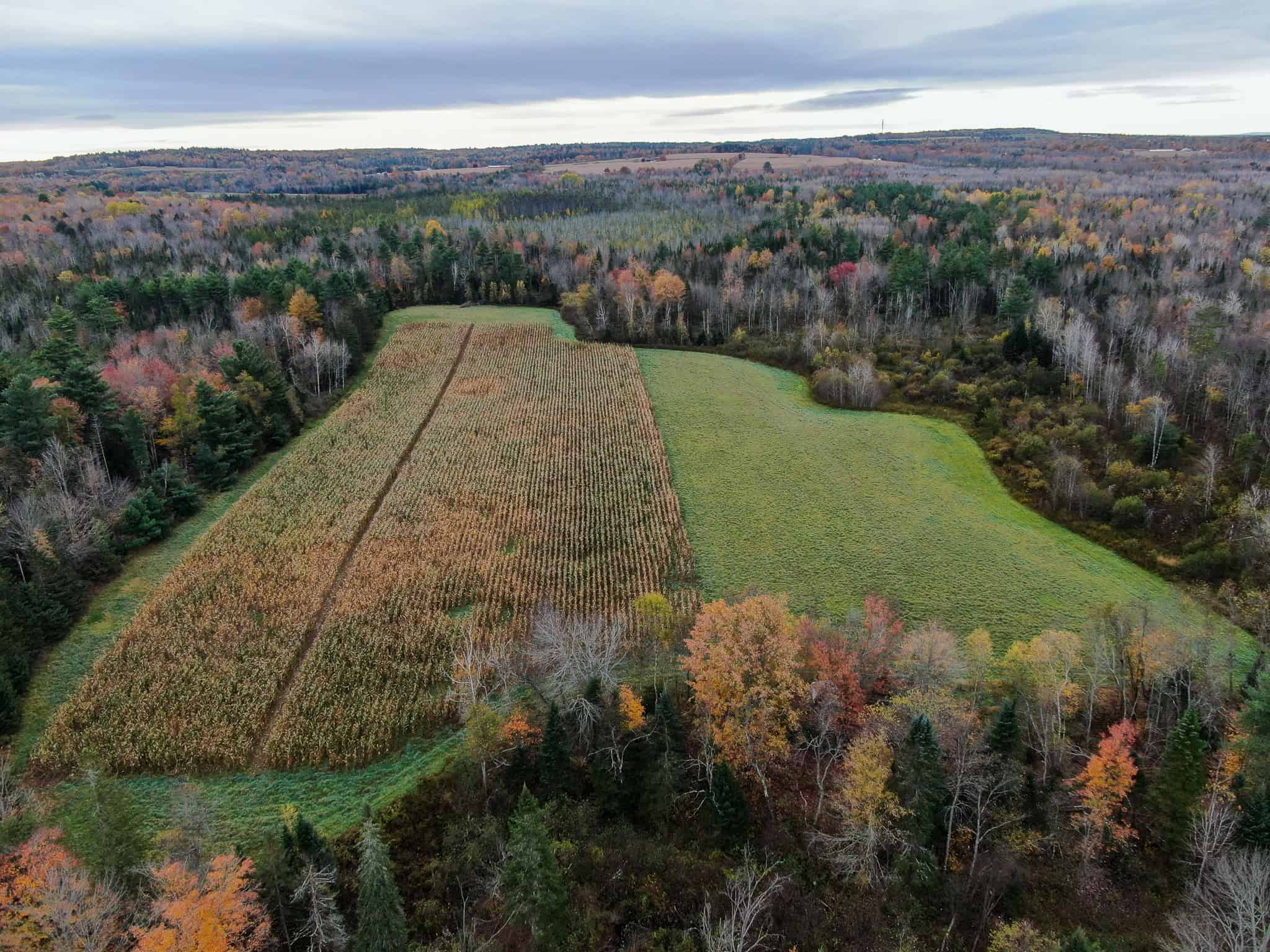 Homestead & Hunting Land in Central Maine