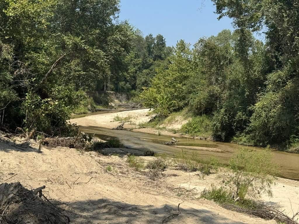296 Acre Timberland for Sale with Creek Southwest MS