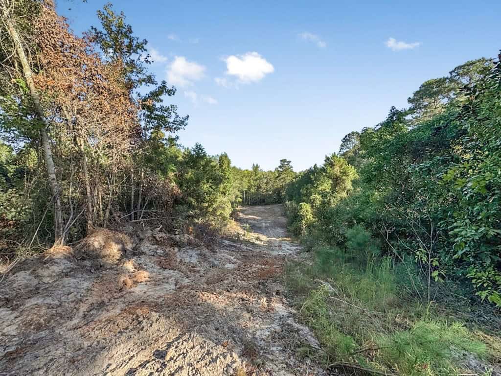Duck Hunting Paradise for Sale in Ouachita Parish