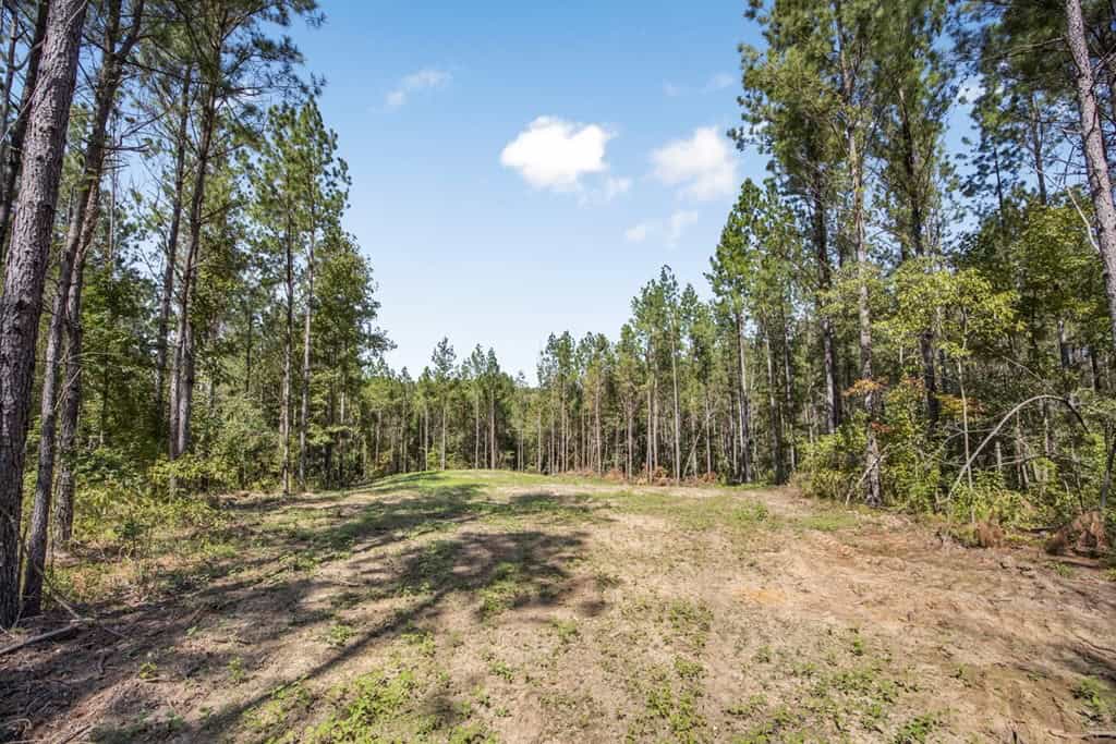 Turnkey Property in Amite County Connected to Caston Creek
