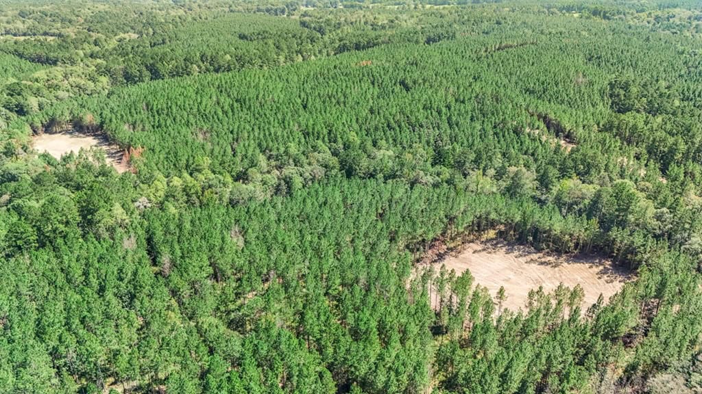 Turnkey Property in Amite County Connected to Caston Creek