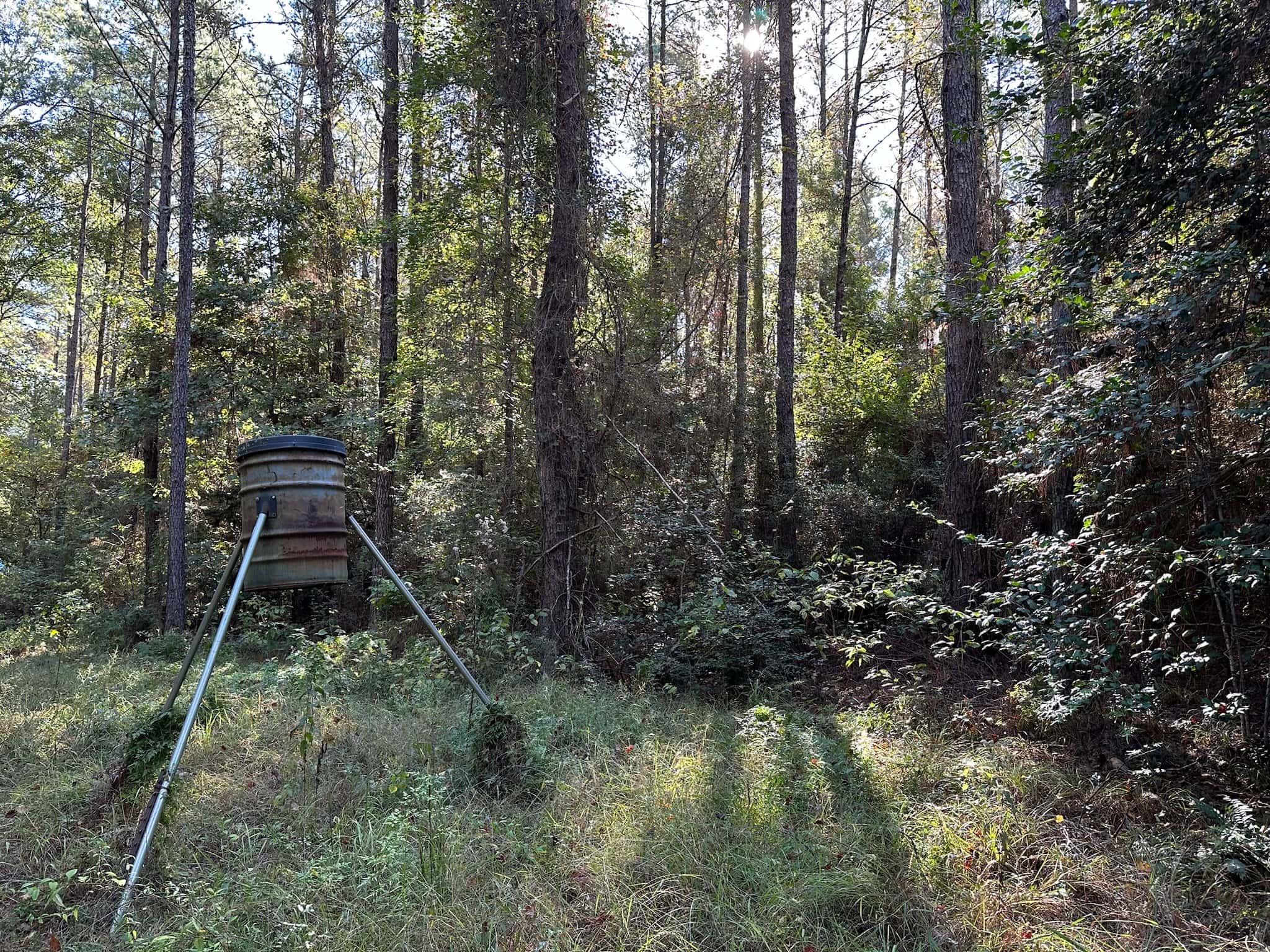 Hunting and Timberland Tract for sale in North Louisiana
