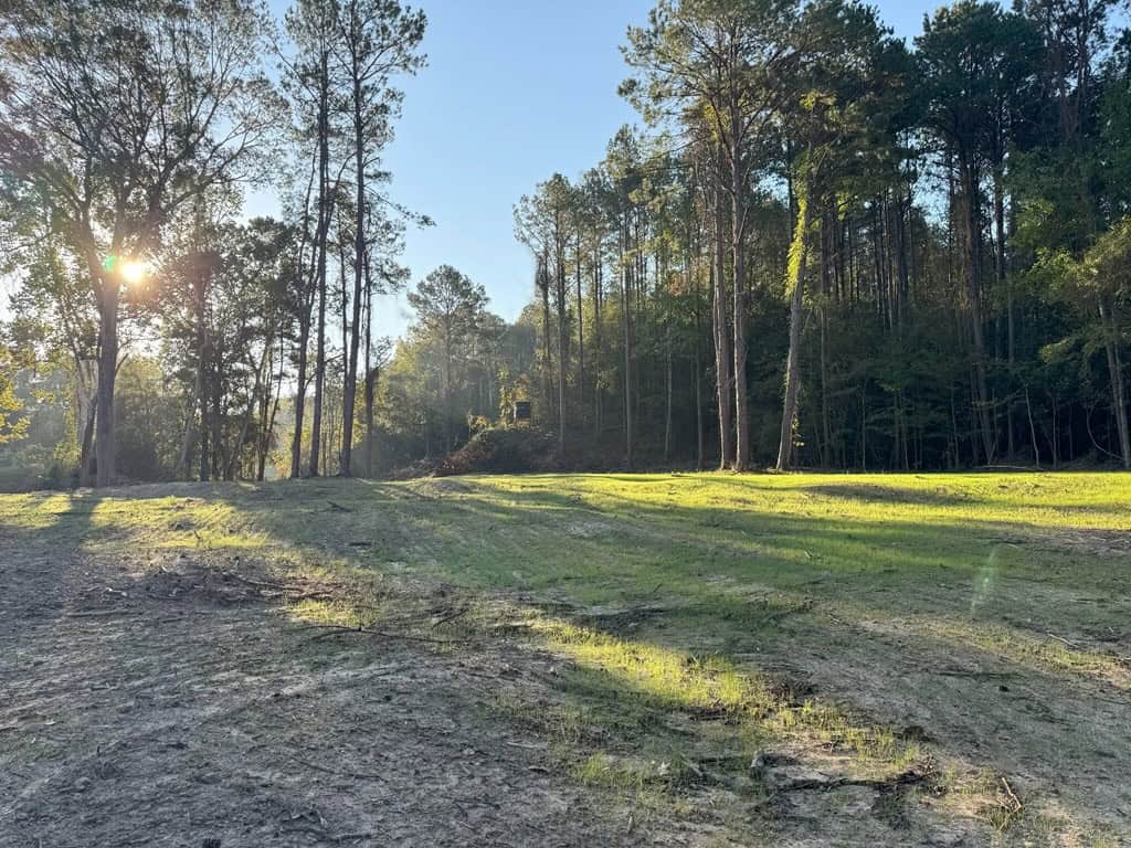 296 Acre Timberland for Sale with Creek Southwest MS