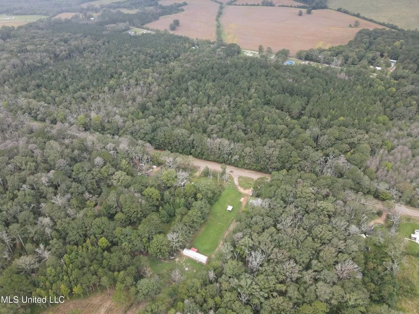 42 Acres for Sale with Old Country Home Scott Co MS
