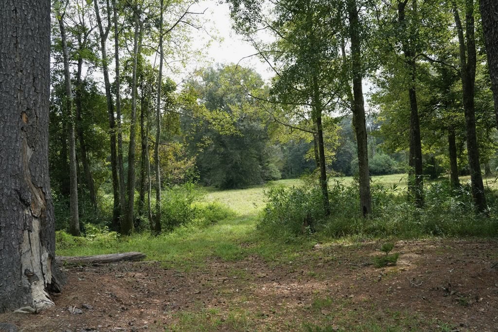 34 Acres Waterfront Property South Mississippi with Cabin