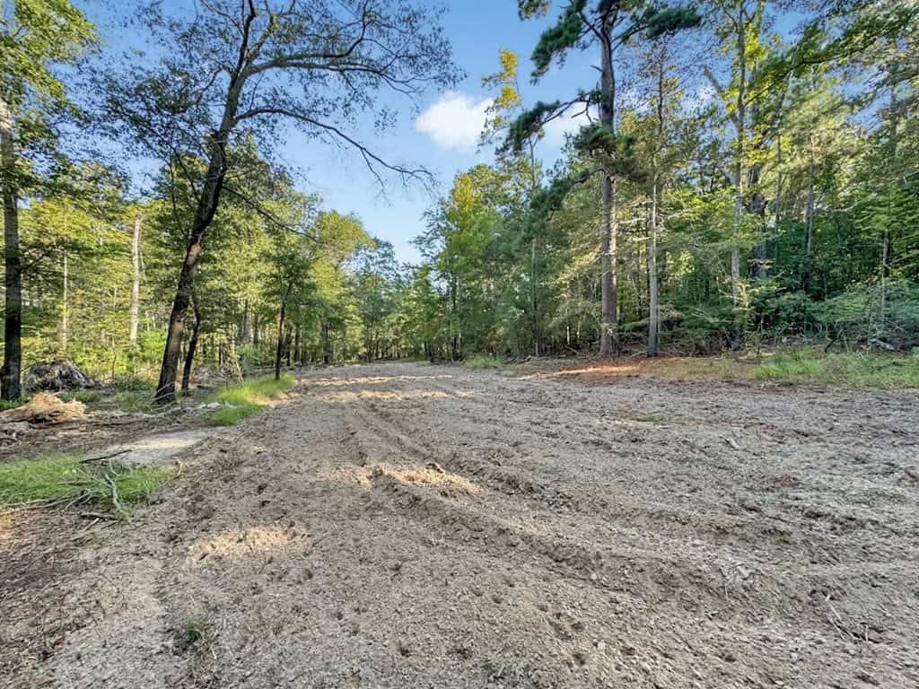 Duck Hunting Paradise for Sale in Ouachita Parish