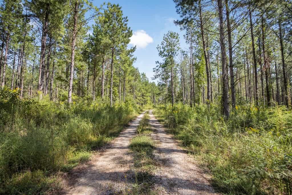 Turnkey Property in Amite County Connected to Caston Creek