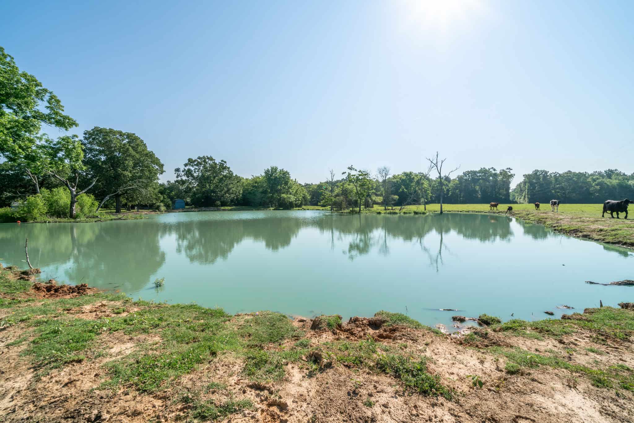 Gorgeous Home and Acreage for Hunting and Fishing