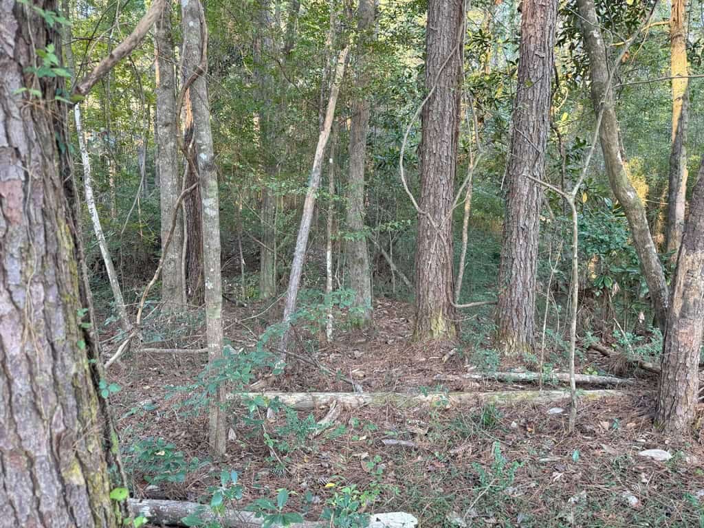 296 Acre Timberland for Sale with Creek Southwest MS