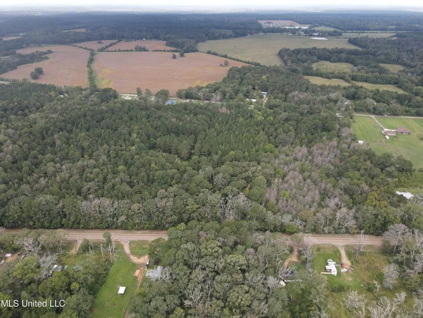 42 Acres for Sale with Old Country Home Scott Co MS
