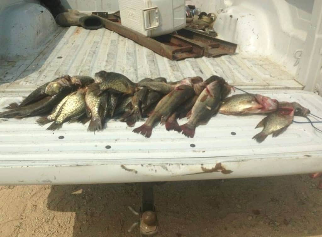 Hunting and Timberland for Sale in Ouachita Parish, LA