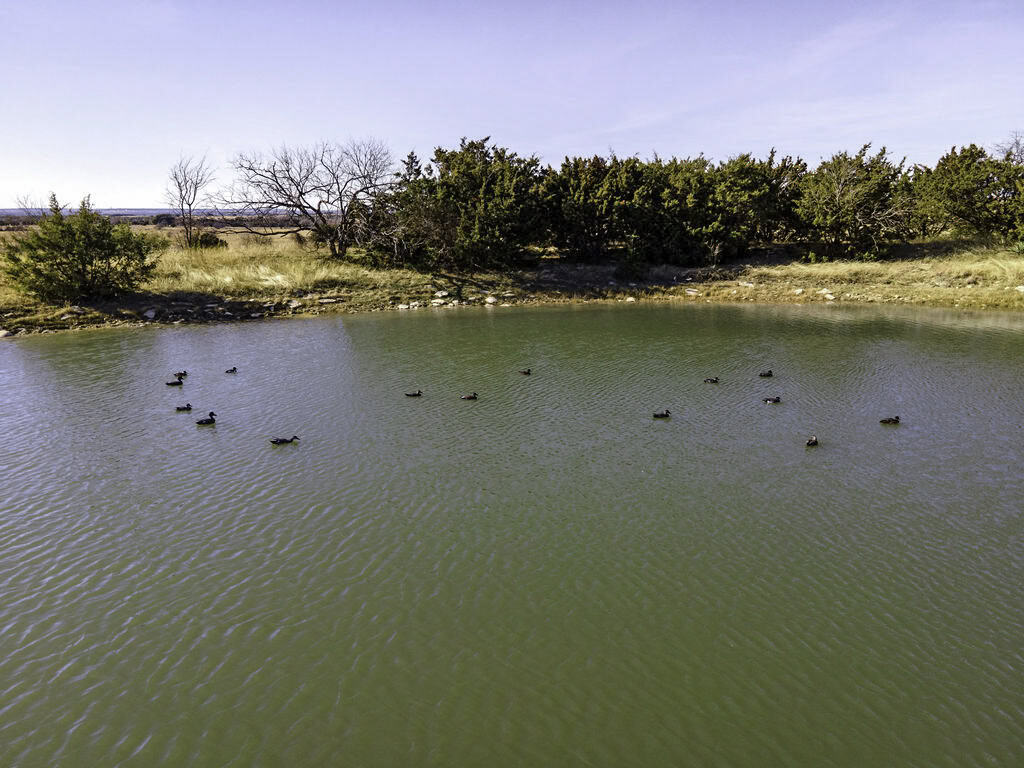 Central Texas 34.5-Acre Fenced Ranch for Sale – Perfect Custom Home Site