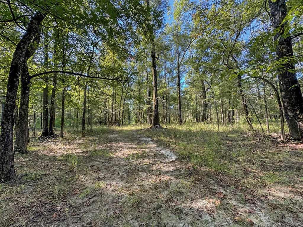 Duck Hunting Paradise for Sale in Ouachita Parish