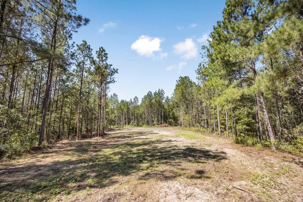 Turnkey Property in Amite County Connected to Caston Creek