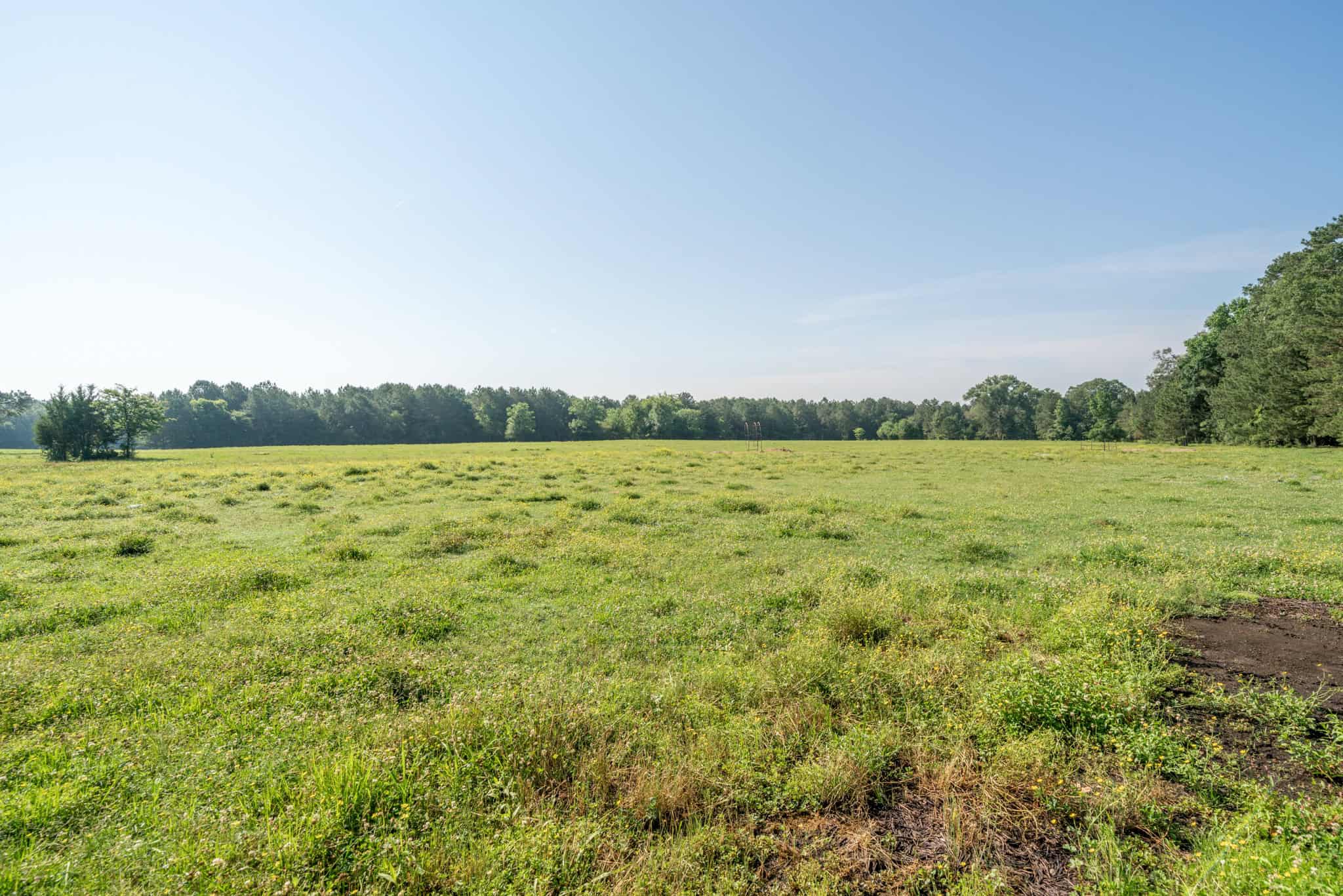 Gorgeous Home and Acreage for Hunting and Fishing