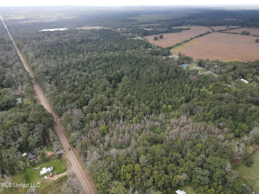42 Acres for Sale with Old Country Home Scott Co MS
