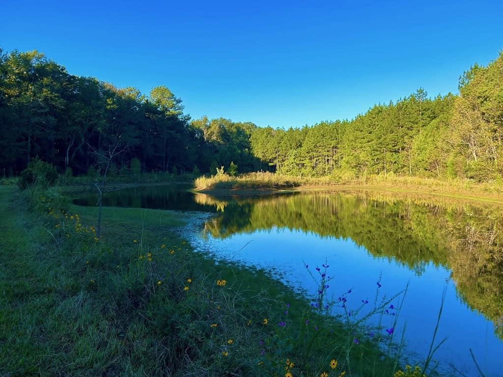 Smithdale MS 100+- Acres For Sale