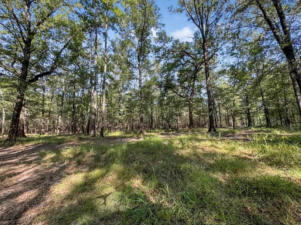 Duck Hunting Paradise for Sale in Ouachita Parish