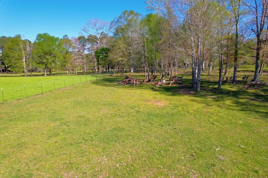 192 Acres of Land with 3 BR Hunting Lodge