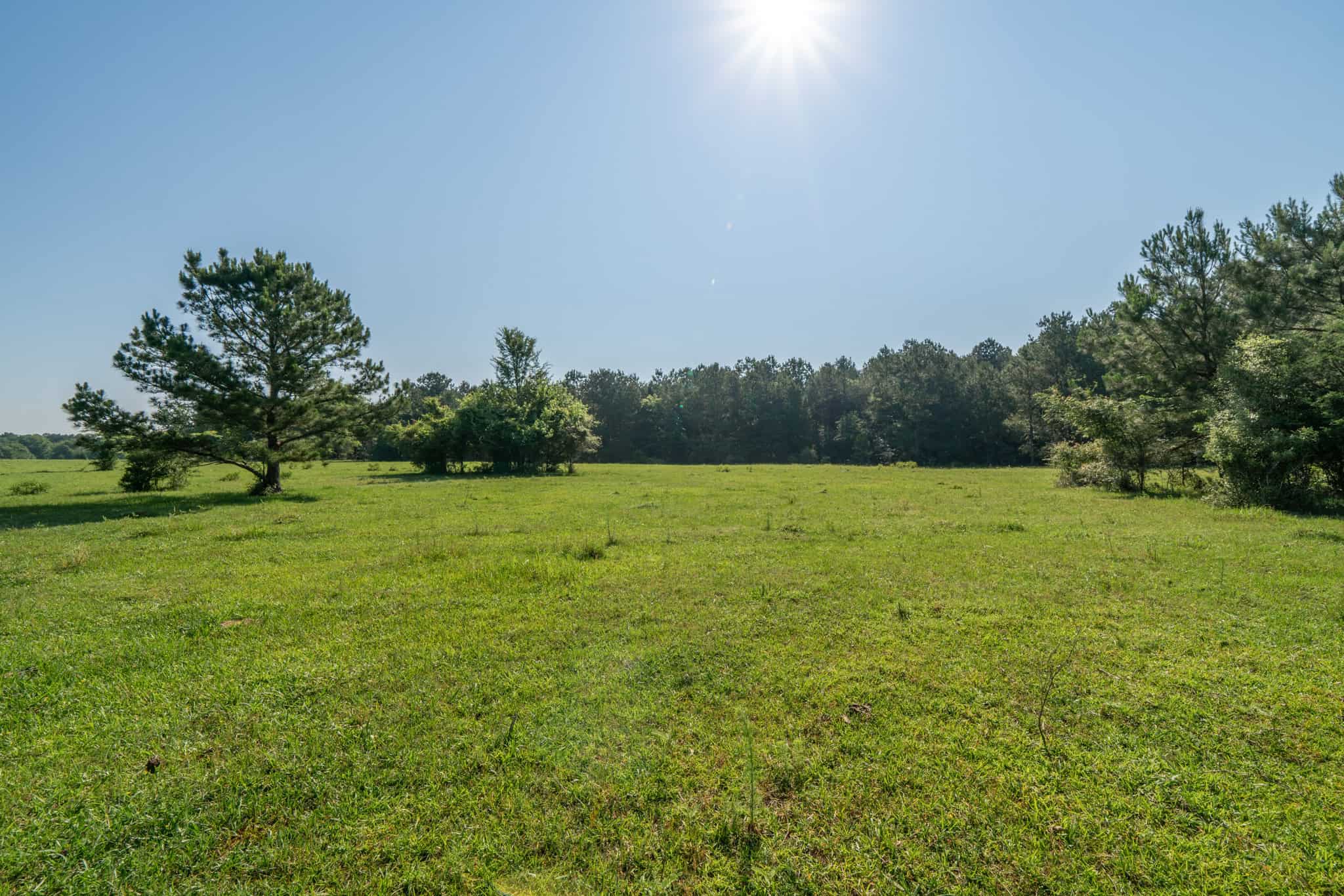 Gorgeous Home and Acreage for Hunting and Fishing