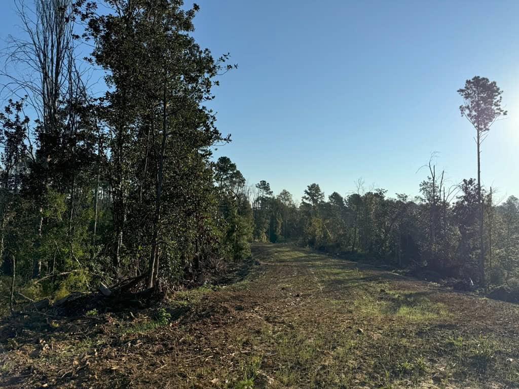 296 Acre Timberland for Sale with Creek Southwest MS