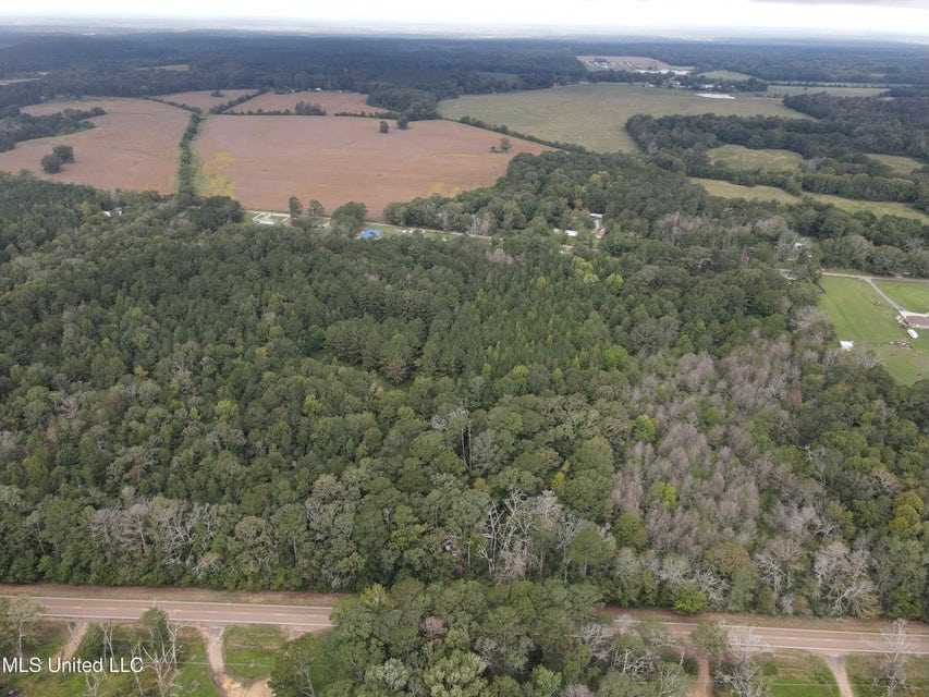 42 Acres for Sale with Old Country Home Scott Co MS