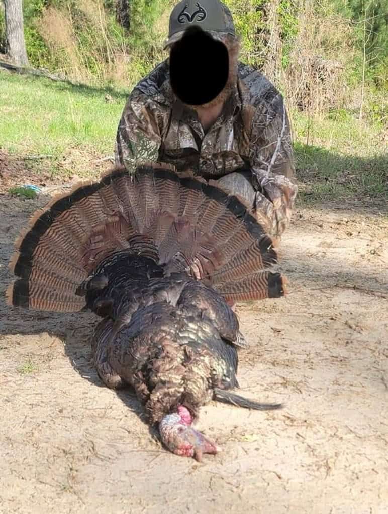 Hunting and Timberland for Sale in Ouachita Parish, LA