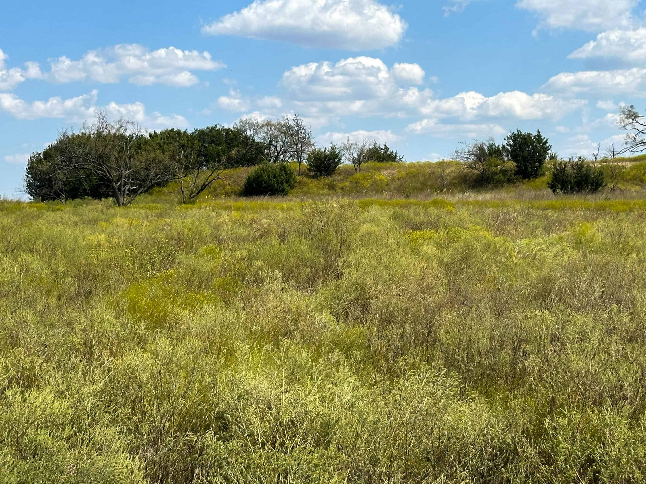 Central Texas 34.5-Acre Fenced Ranch for Sale – Perfect Custom Home Site