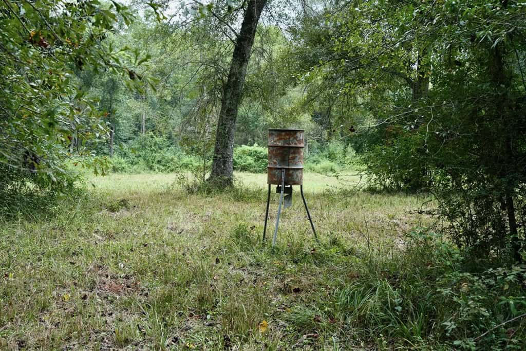 34 Acres Waterfront Property South Mississippi with Cabin