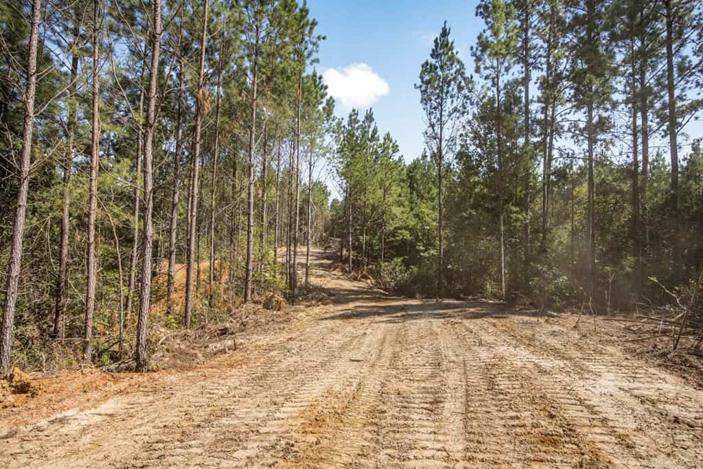Turnkey Property in Amite County Connected to Caston Creek