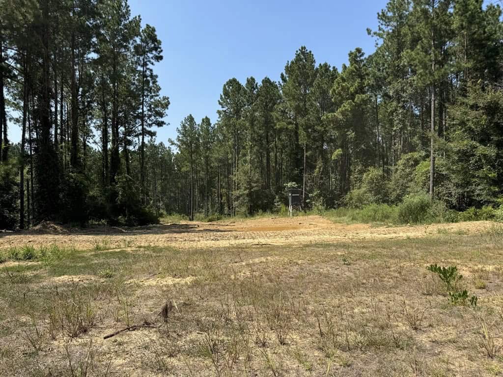 45 Acre Timberland Hunting Lincoln County South MS