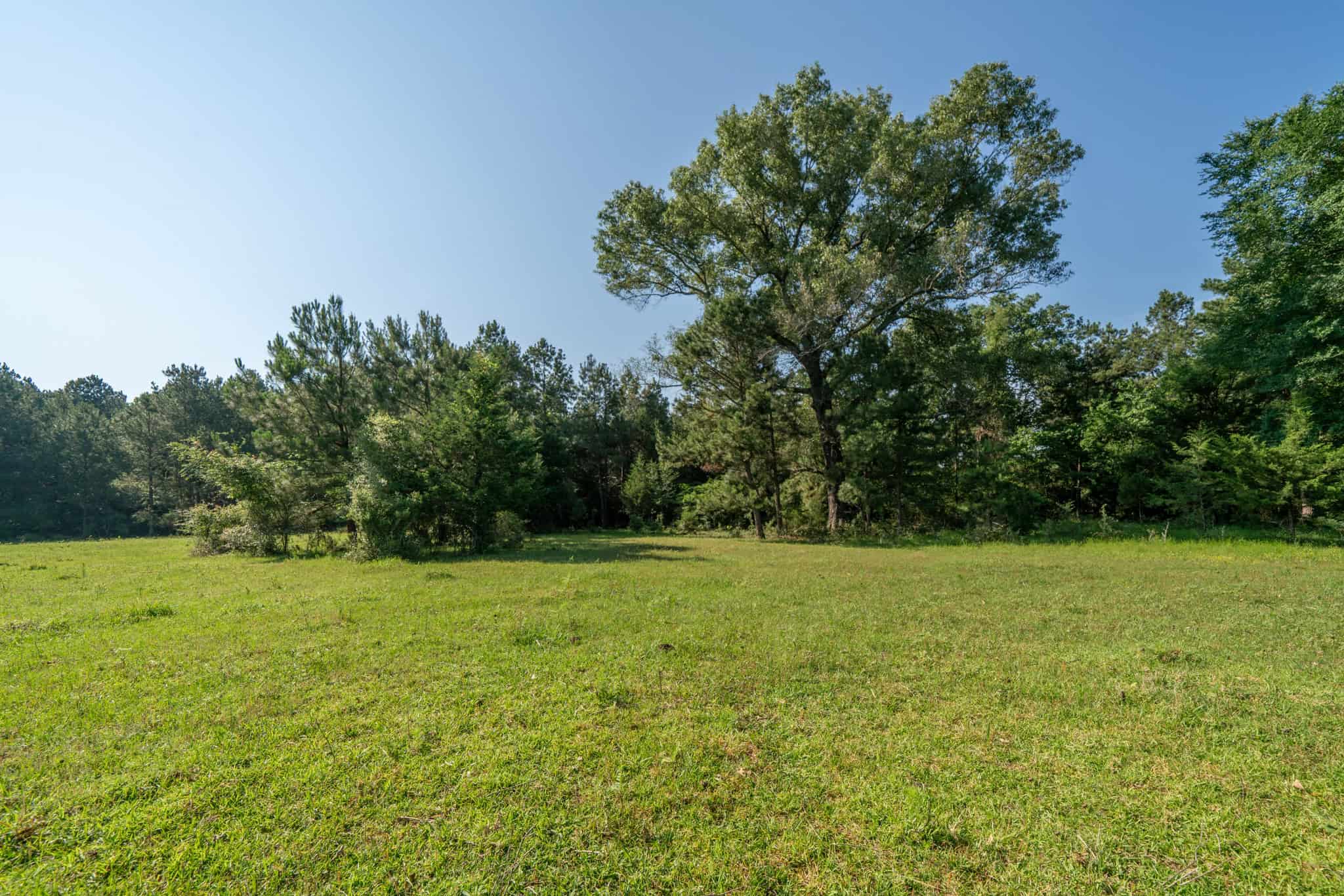 Gorgeous Home and Acreage for Hunting and Fishing