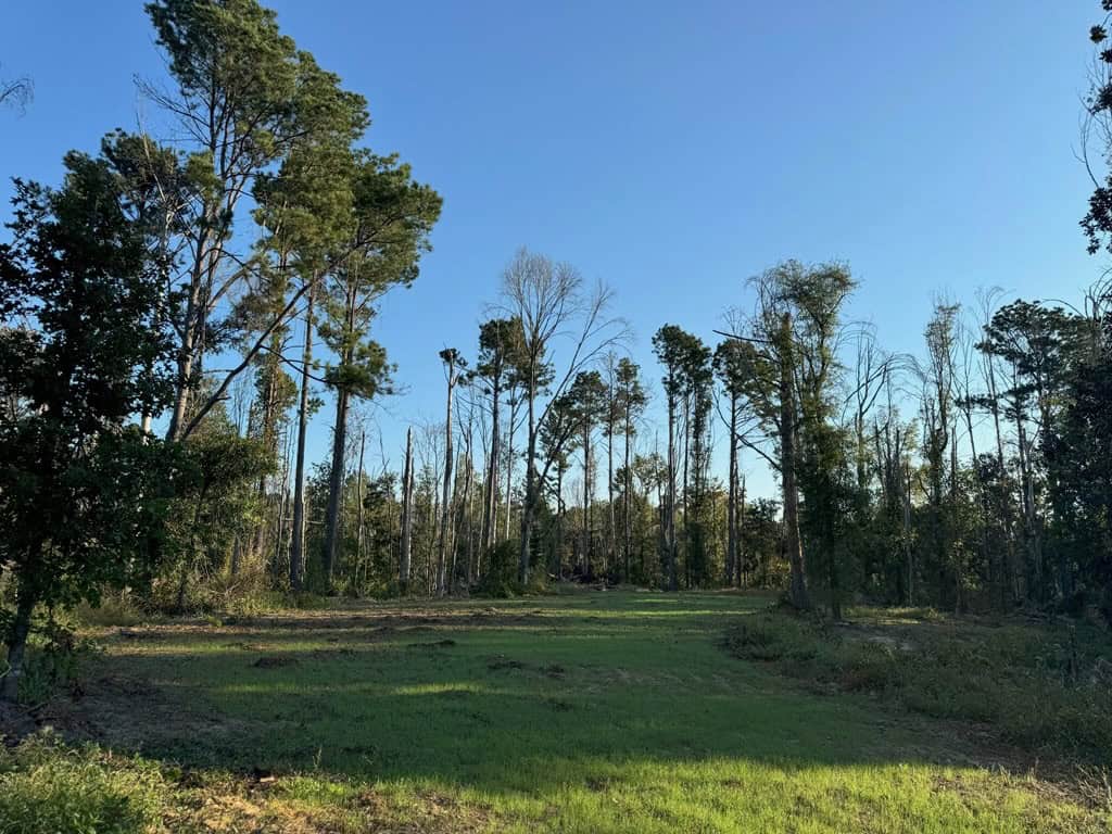 296 Acre Timberland for Sale with Creek Southwest MS