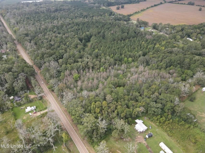 42 Acres for Sale with Old Country Home Scott Co MS