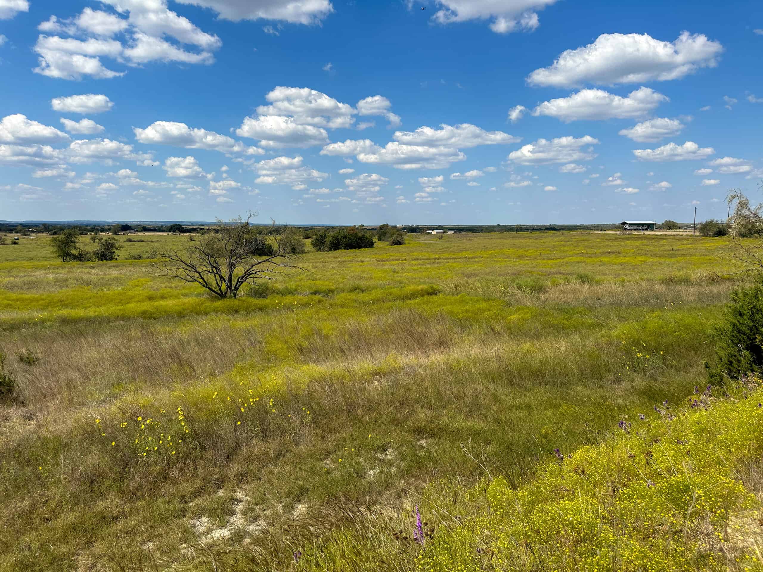 Central Texas 34.5-Acre Fenced Ranch for Sale – Perfect Custom Home Site