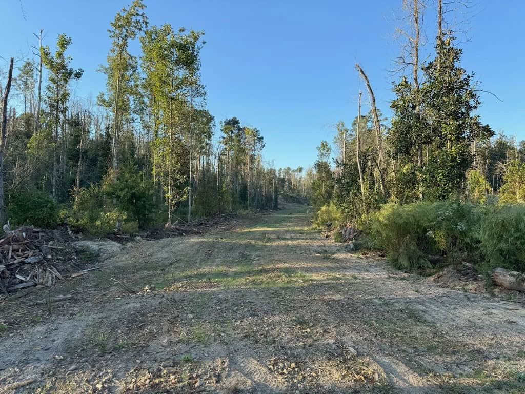 296 Acre Timberland for Sale with Creek Southwest MS