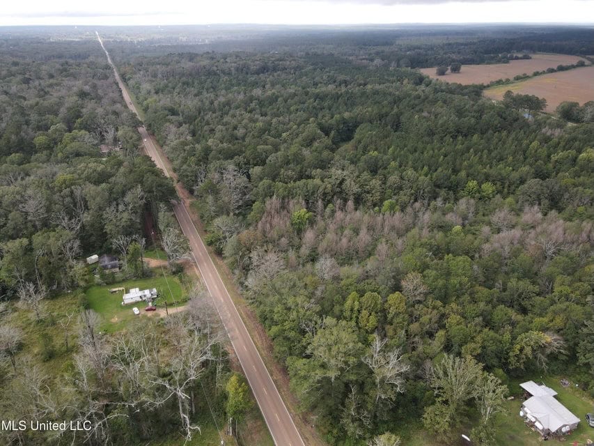 42 Acres for Sale with Old Country Home Scott Co MS