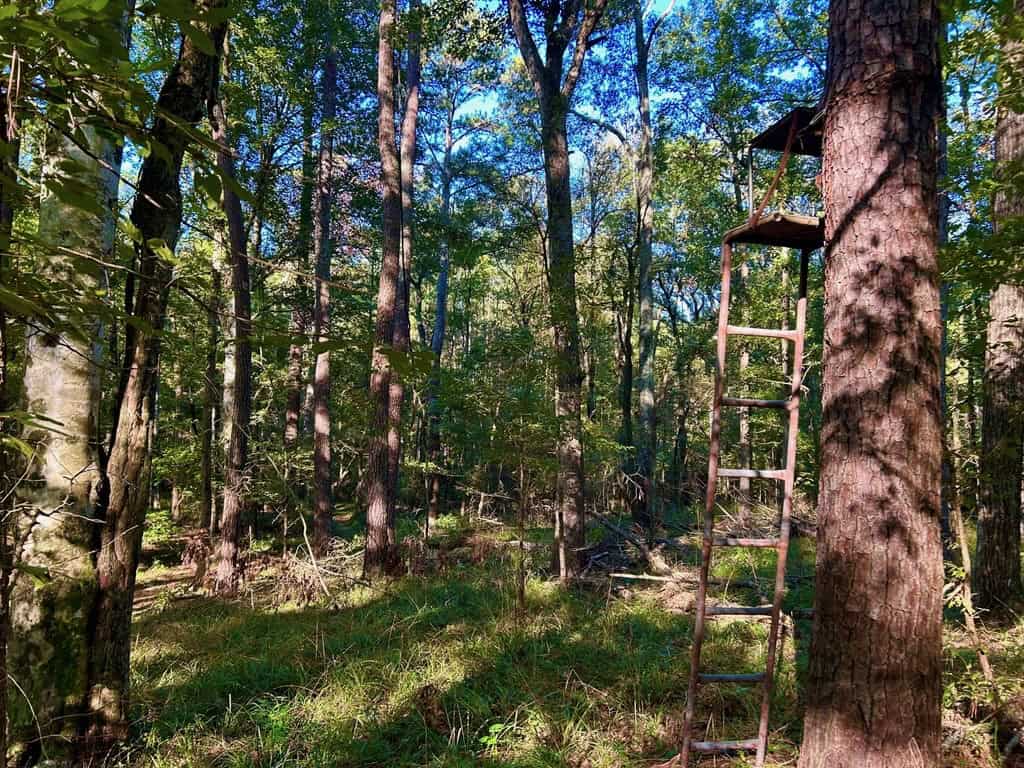 Smithdale MS 80+- Acres For Sale