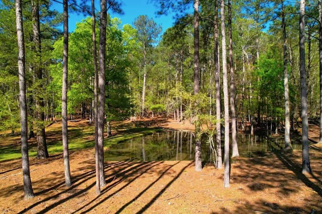 192 Acres of Land with 3 BR Hunting Lodge