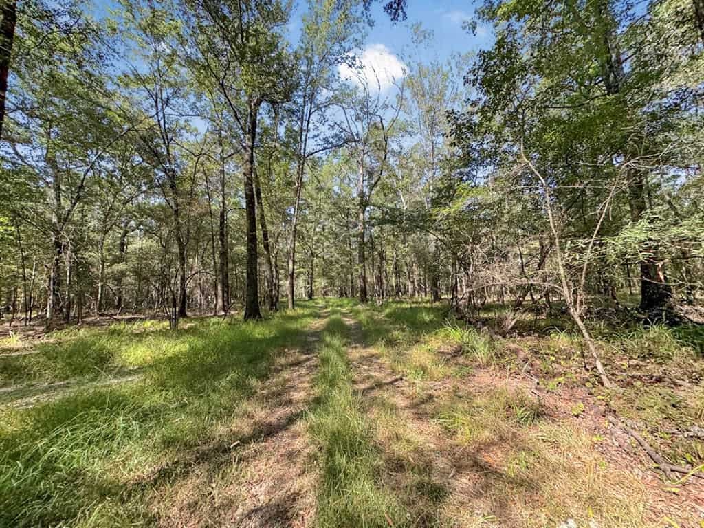Duck Hunting Paradise for Sale in Ouachita Parish