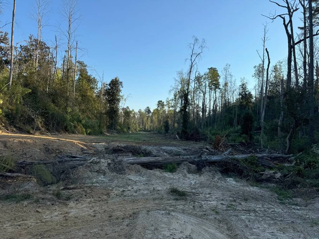 296 Acre Timberland for Sale with Creek Southwest MS